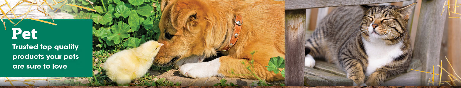 Pet Pet Header