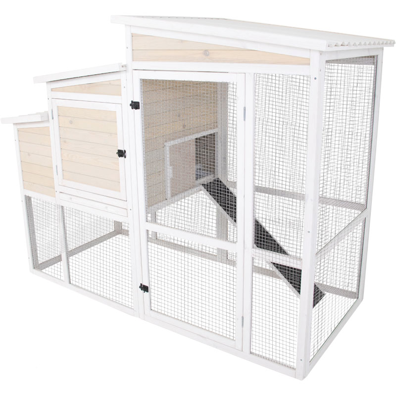 Chicken Equipment