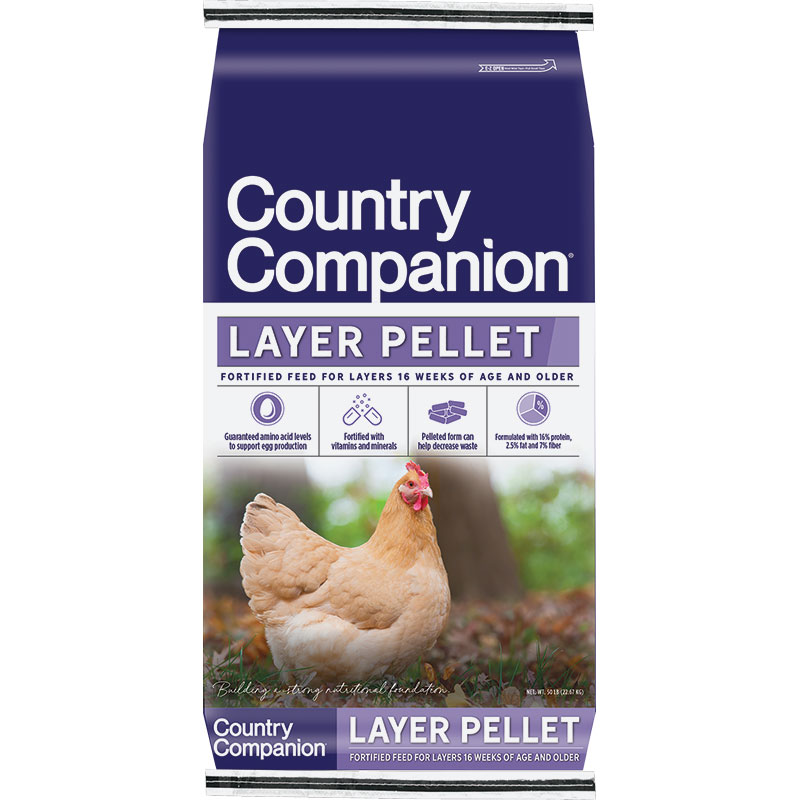 Chicken Supplies